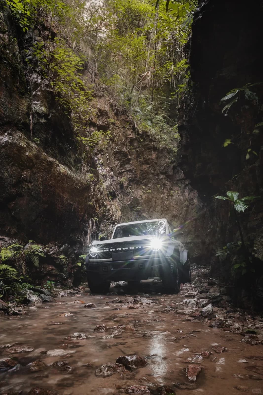 4x4 pickup crossing a forest trail