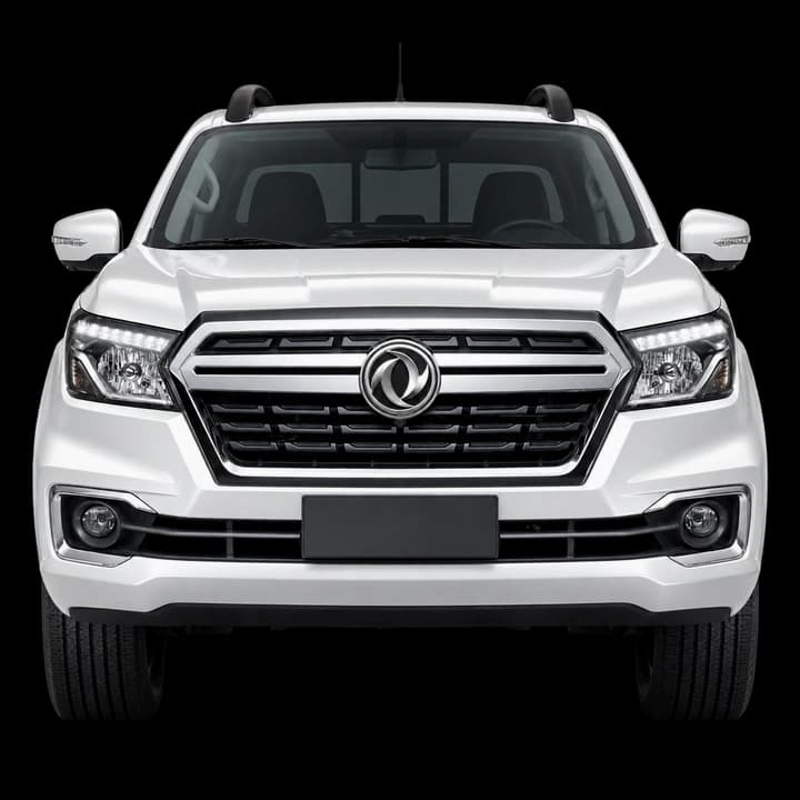 Dongfeng Rich 6